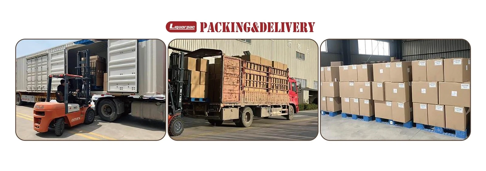 product-1600-565
